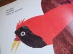 red bird carle red bird carle