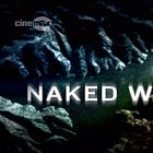 Spencer Tunick's Naked World