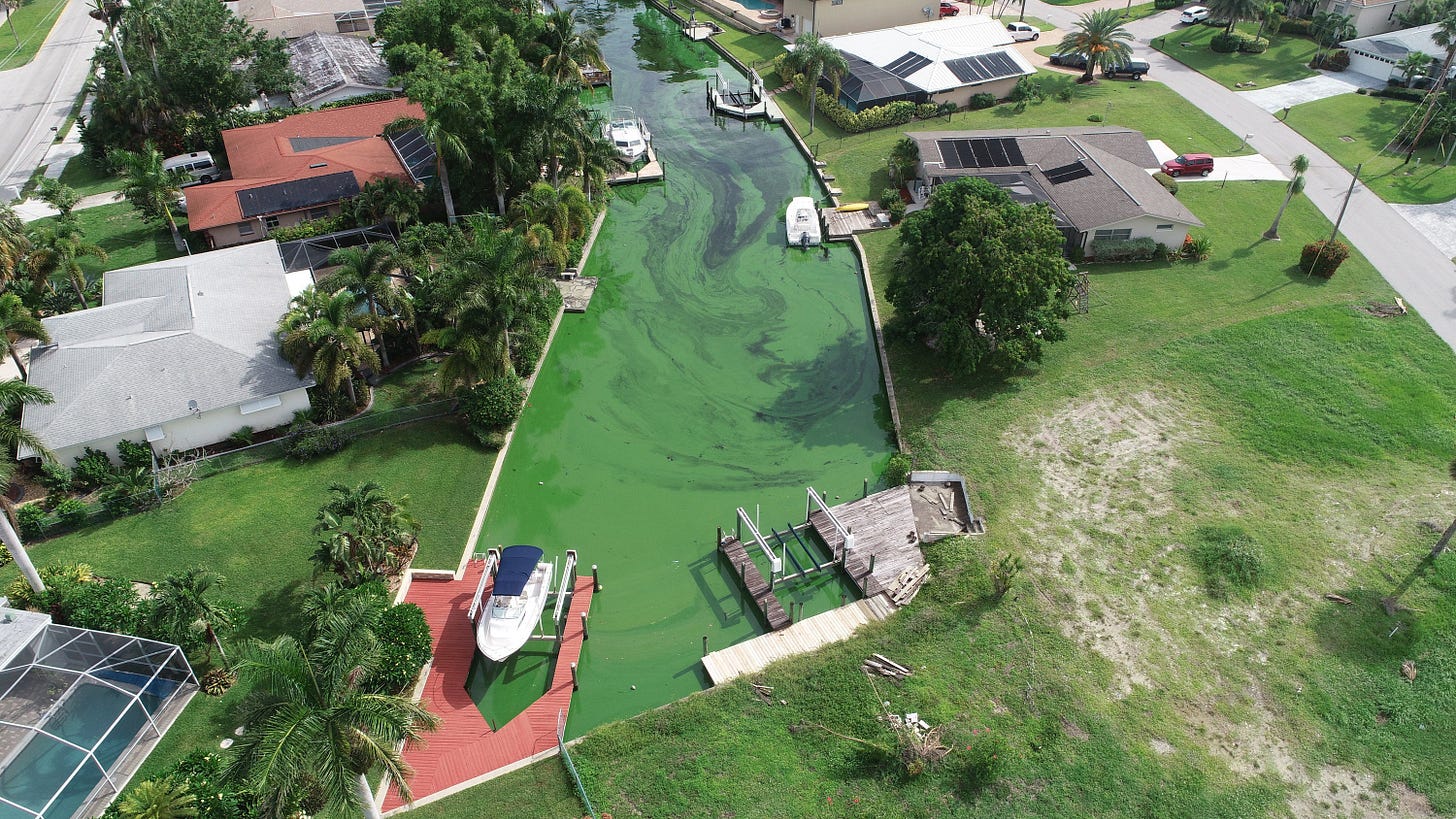 https://static01.nyt.com/images/2018/07/09/us/09xp-algae2/09xp-algae2-videoSixteenByNine3000.jpg?year=2018&h=1688&w=3000&sig=0xb8ec9fffe8a0513a3215ecac1213b22d&tw=1 https://static01.nyt.com/images/2018/07/09/us/09xp-algae2/09xp-algae2-videoSixteenByNine3000.jpg?year=2018&h=1688&w=3000&sig=0xb8ec9fffe8a0513a3215ecac1213b22d&tw=1