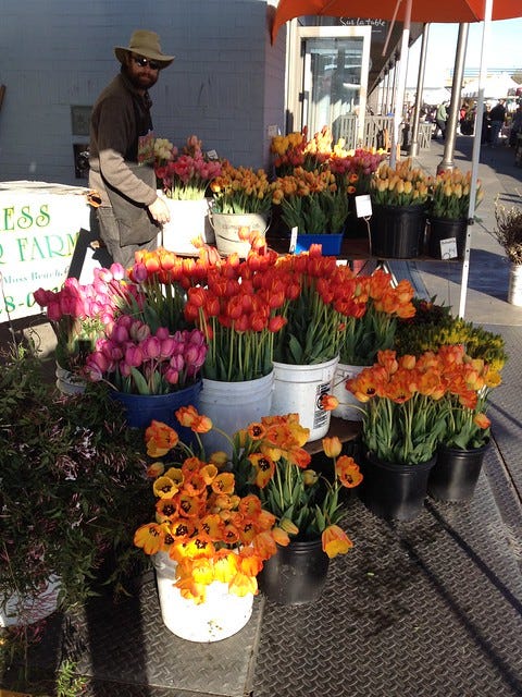 Tulips at the Ferry Building Marketplace Tulips at the Ferry Building Marketplace