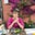 Avatar de Claire Peltier