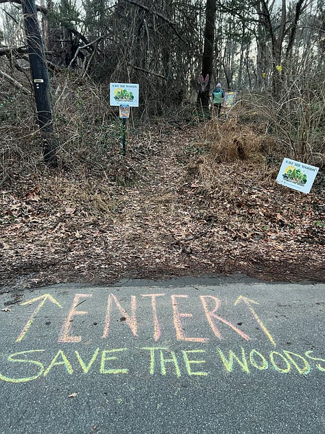 First image is a picture of an upright painted bat with pink ears hanging on a tree, second image is the entry way to the Batland Exhibit + Save the Woods party, next is a painted sign on fabric that reads KEEP ASHEVILLE GREEN, fourth is an image of the Batland Exhibit sign with Spencer Beals, my daughter, and me, fifth is a close up of the Batland Exhibit sign which is a map of the woods showing where the bats are placed- sixth is an image of a party goer with large homemade see- through bat wings posing in front of the sign, sevent is a home made painted sign that reads 'Chancellor to Helene "Hold My Beer! Watch Me Take All the Trees!" eight is an image of Spencer's painting titled "Eyes of Appalachia" and finally we have a hand made carrier pigion on a tree as part of the exhibit.