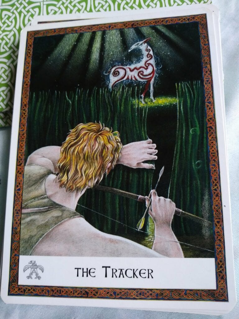 A Message from the Universe - The Tracker A Message from the Universe - The Tracker