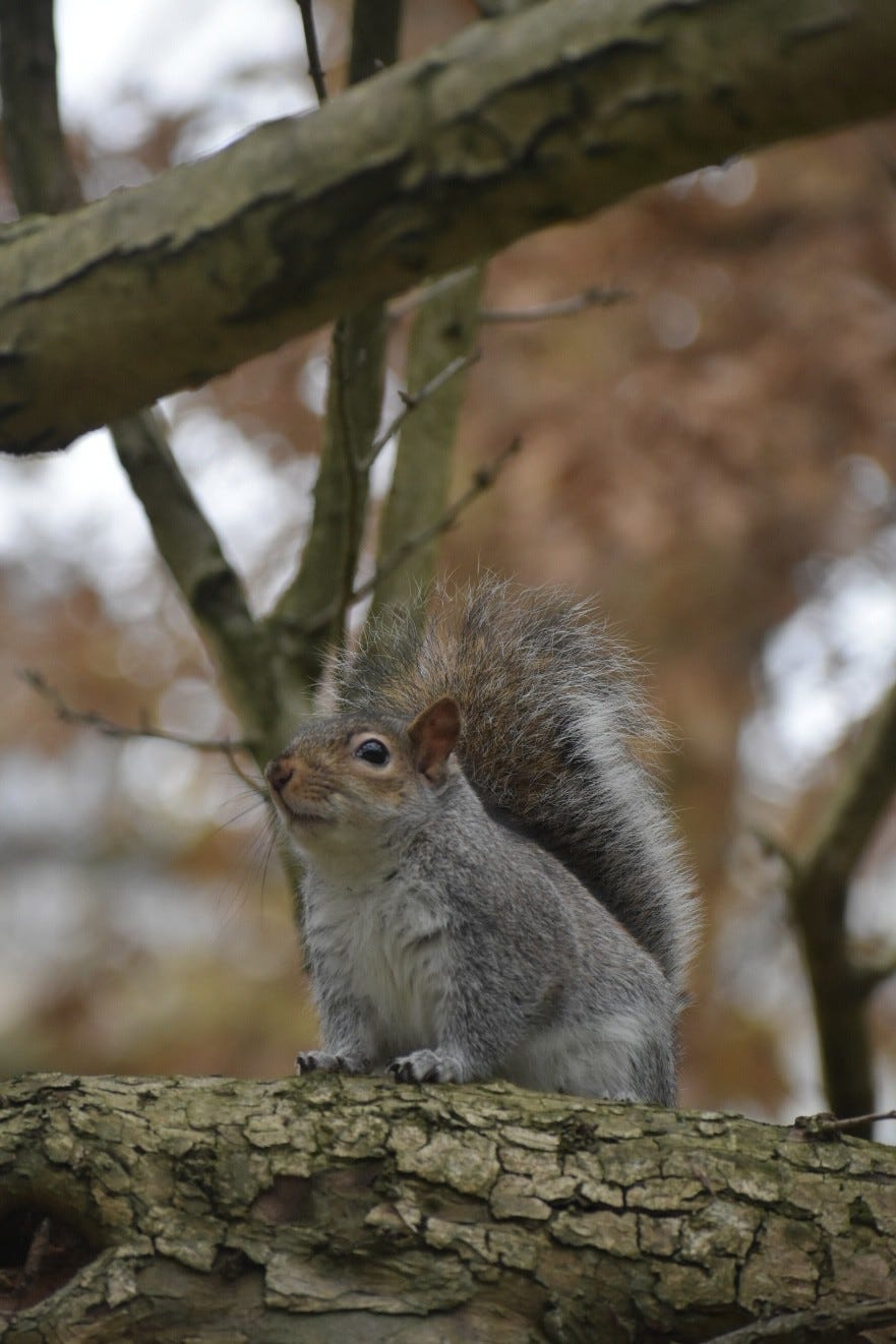 DSC_0140.jpg