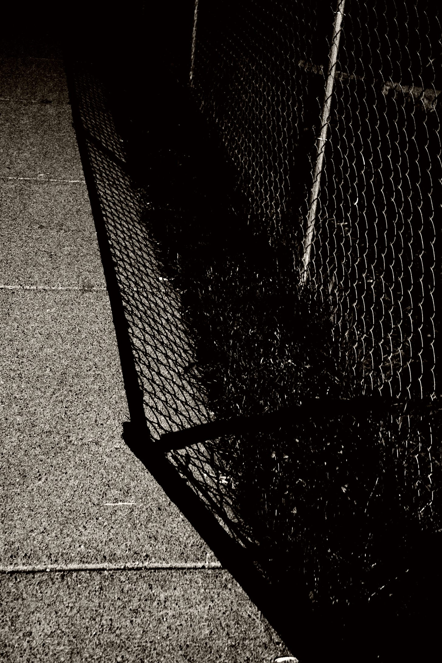 Fence