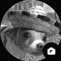 Perro Wero's avatar