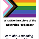 School display of LGBT flags that discriminate by race