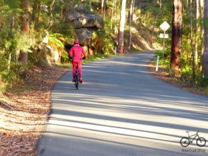 Lane Cove National Park Lane Cove National Park
