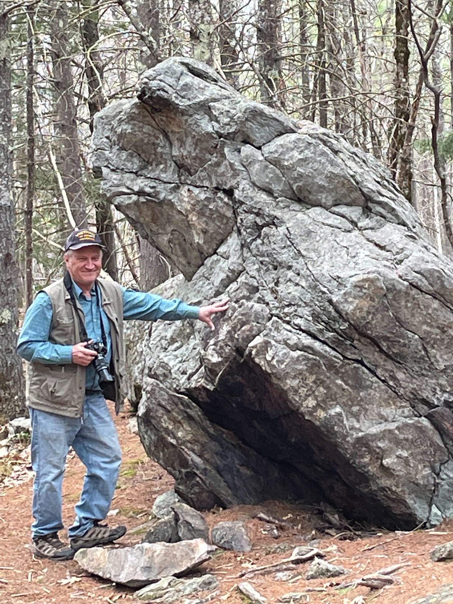 Frog Rock