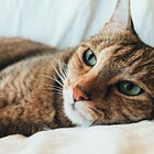 Zachte ogen en een innerlijke glimlach