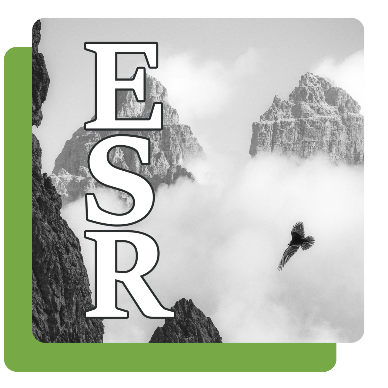 Substack profile picture for @eagle
