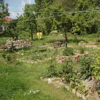 Restoring Raw Experience