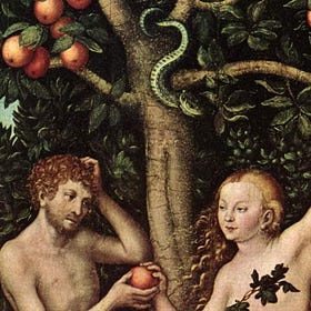 Catholic Anthropology - Part 3