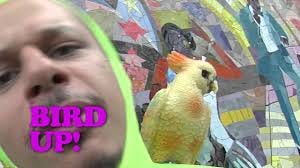 Eric Andre Show" Bird Up! (TV Episode ...