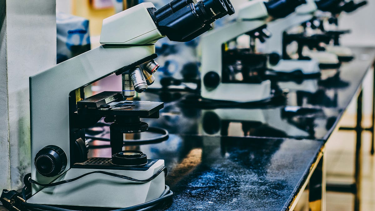 What is Scientific Literacy? - Scientifically Literate