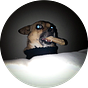 Elmer McCurdy's avatar