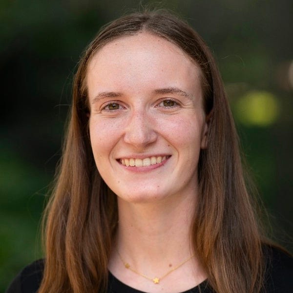 Artwork for Eclectic Notes on AI