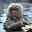 Macaque Mentality's avatar