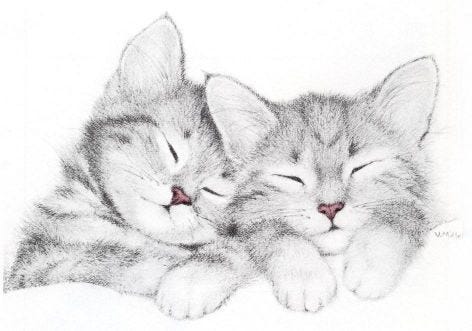 This may contain: two kittens cuddling together with their eyes closed