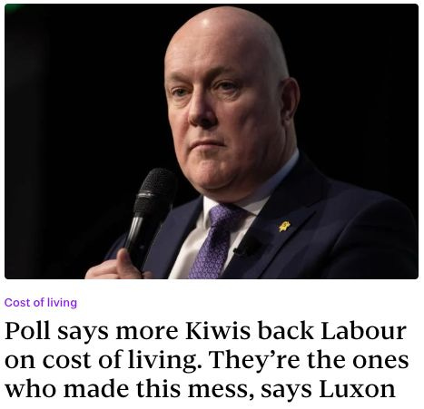 May be an image of 1 person and text that says "Cost of living Poll says more Kiwis back Labour on cost of living. They're the ones who made this mess, says Luxon"