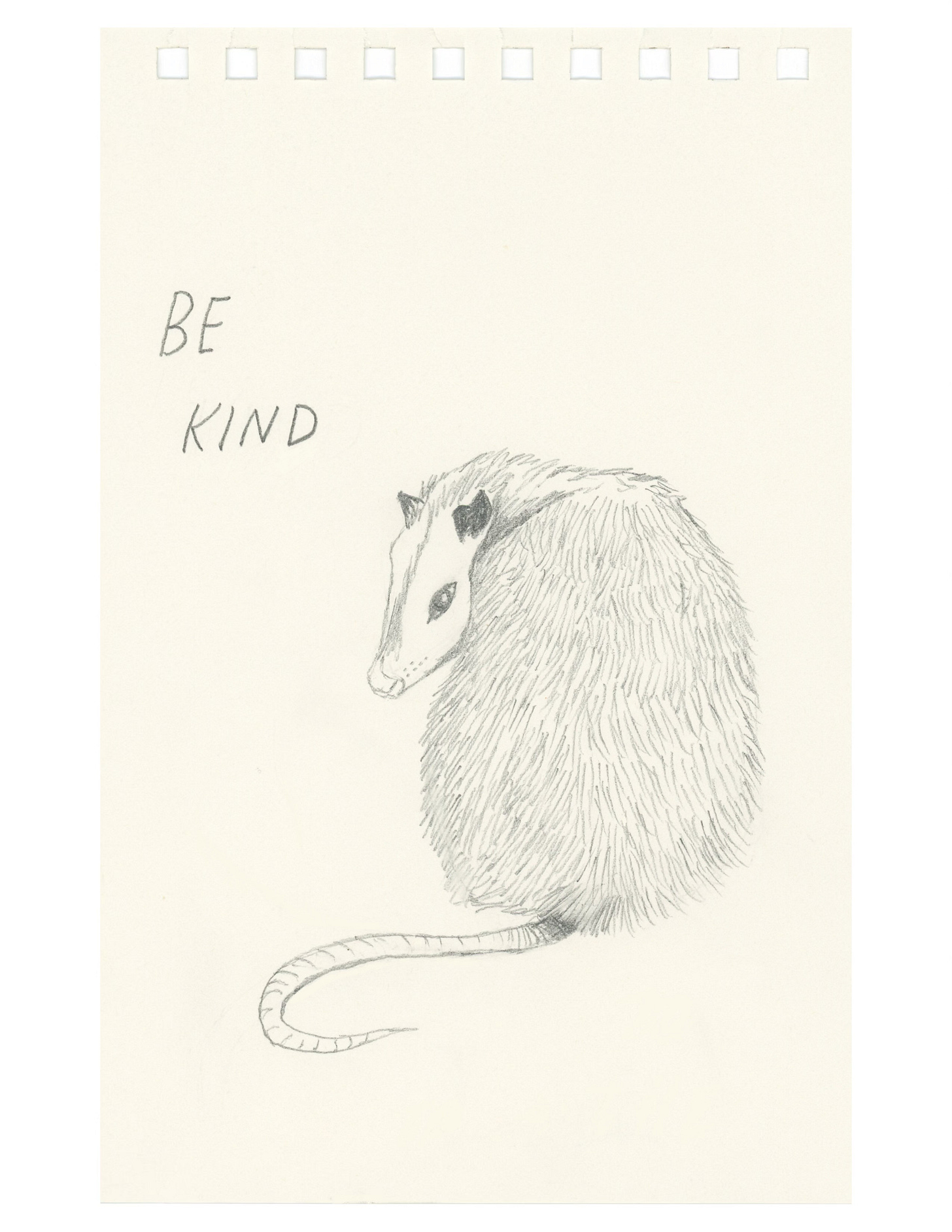 A pencil drawing of an opossum from the back, looking over it’s shoulder, with the words Be Kind written next to it.