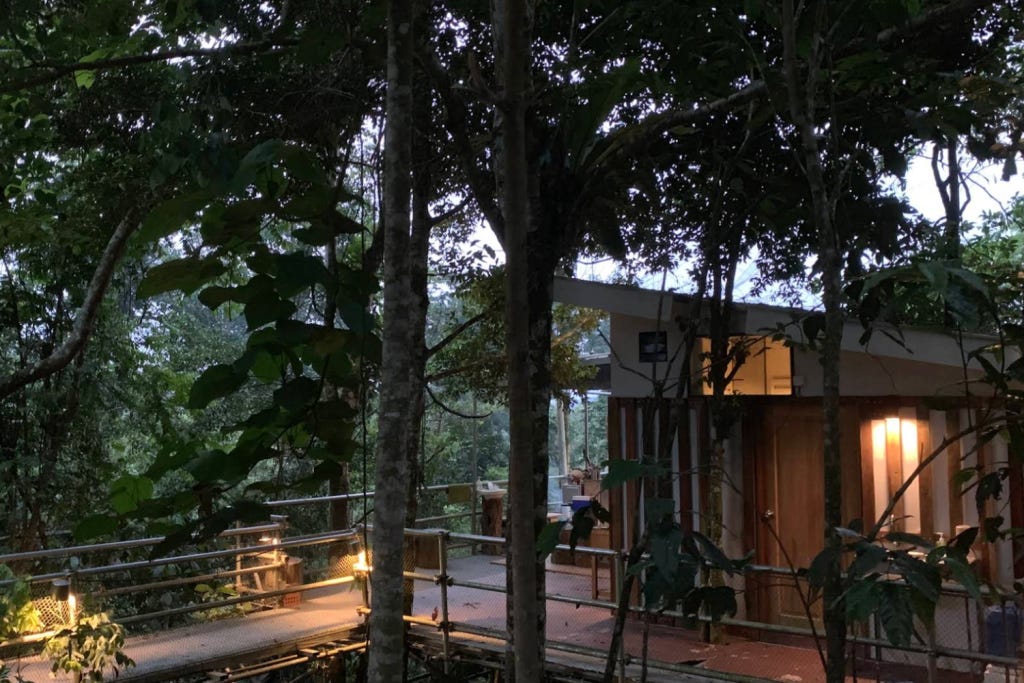 Gibbon Retreat
