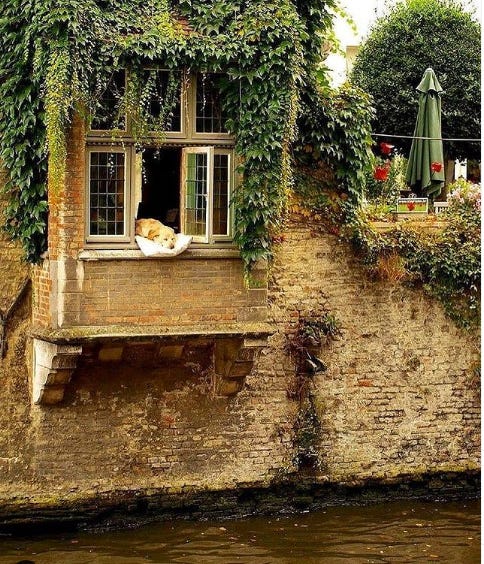 No photo description available.