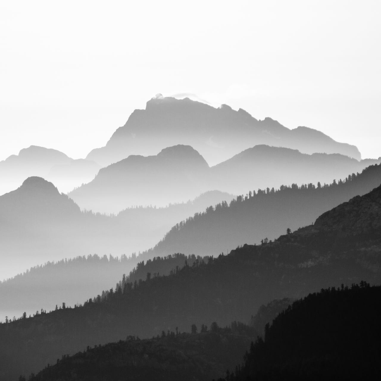 Those Letters I Never Wrote...