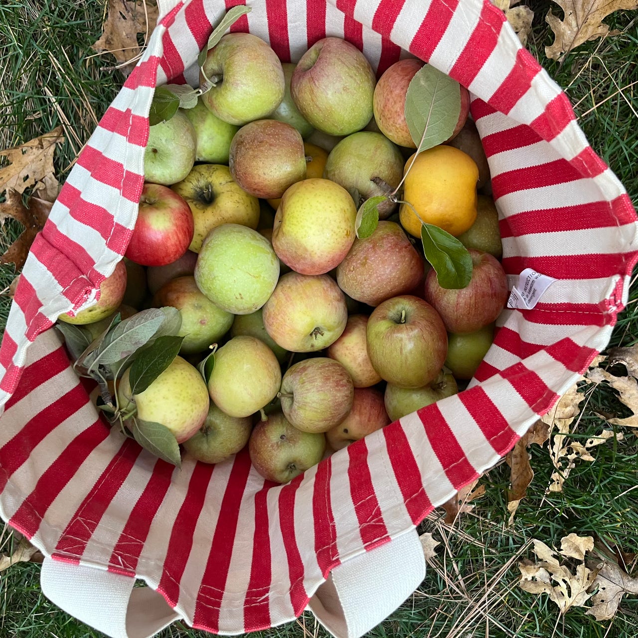 Spiritual Homemaking 