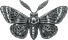 Letters of Metamorphics
