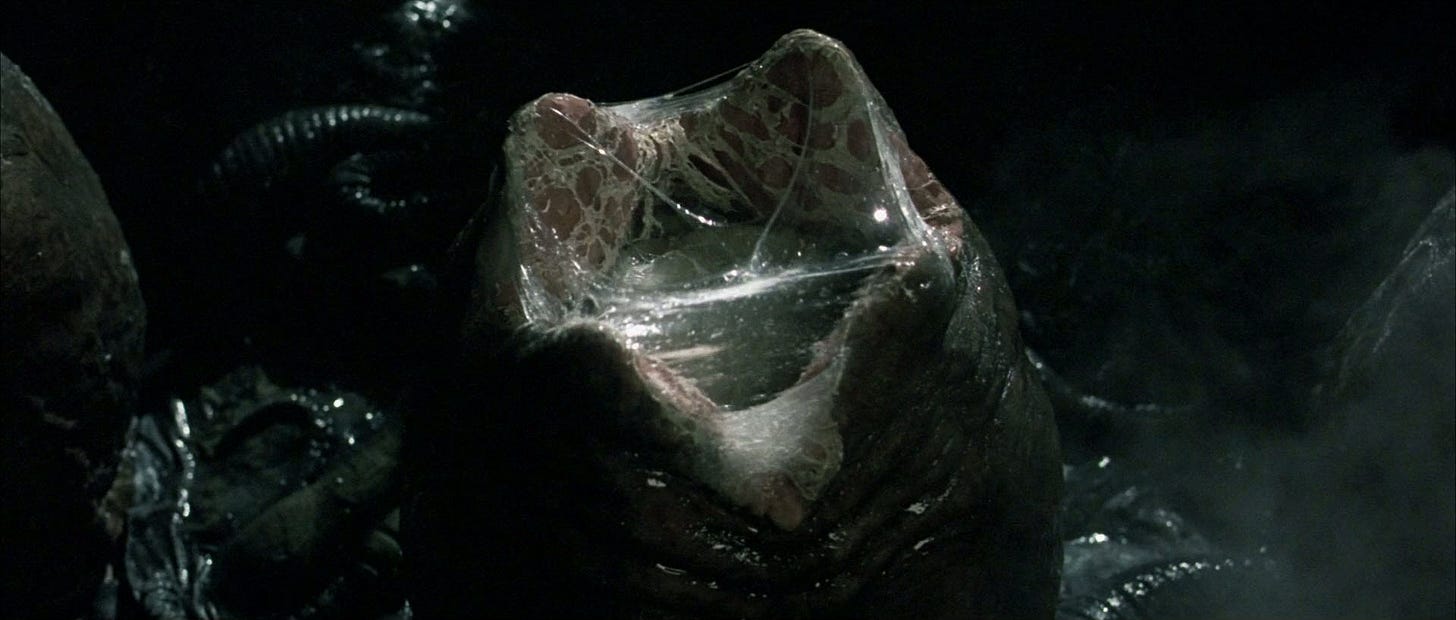 Antarctica Alien Egg (Alien vs Predator) - Alien vs. Predator Galaxy