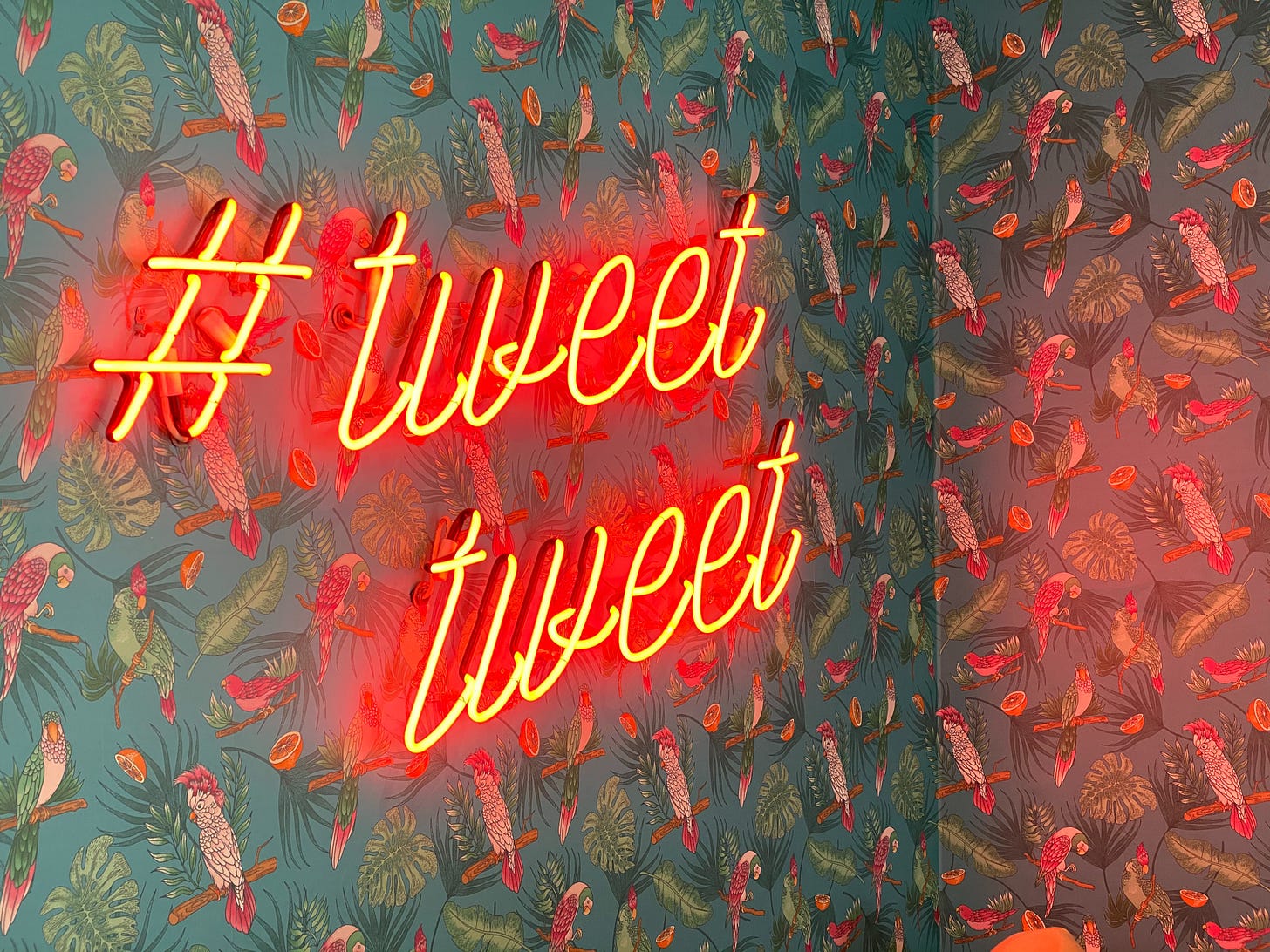 Neon text lights read hashtag tweet tweet.