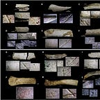 Anthropology.net