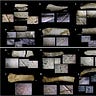 Anthropology.net
