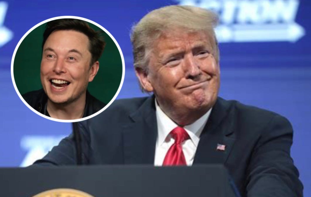 lizcrokin.substack.com