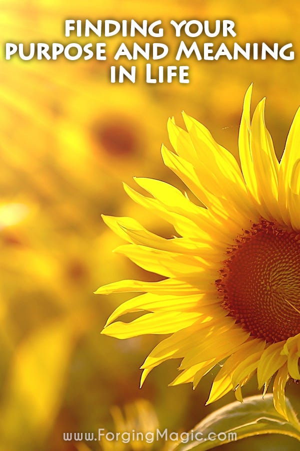 How to find meaning and purpose in life