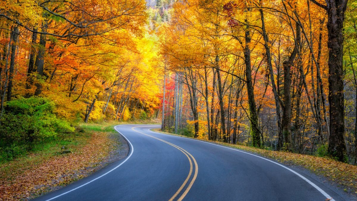The Best Fall Foliage Drives in the U.S. - AutoSlash