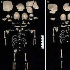 Anthropology.net