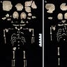 Anthropology.net