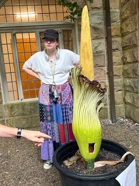 Around Sewanee. Corpse flower. Black light millipede (?). Barred owl. Deer.
