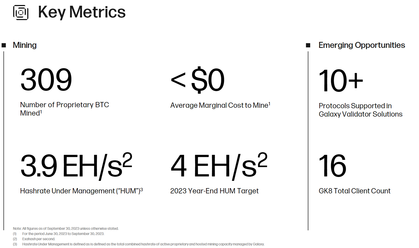 The Bitcoin ETF Blitz: Which Stocks to Own
