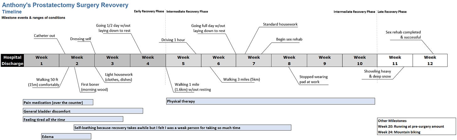 timeline showing the following benchmarks: Early Week 2: Catheter out; walking 50 ft comfortably Mid week 2: First boner (morning wood) Early Week 3: dressing self, light housework (dishes, clothes, etc).  Mid week 4: Going 1/2 day without laying down to rest Start of week 5: walking 1 mile without resting Early week 6: walking 3 miles Start of week 7: Going full day without laying down to rest Midweek 7: Standard housework and begin sex rehab Mid week 8: stopped wearning pad at work Late week 11: shoveling deep and heavy snow Midweek 12: Sex rehab completed & successful. Additional information:  Pain meds lasted through weeks 1 and 2 General bladder discomfort lasted weeks 1-3.5 Feeling tired all the time lasted first 3 weeks Self loathing from mid-week 2 to end week 8 Edema lasted from mid-week 1 to end of week 3 Physical therapy weeks 5-8 Other milestones: Week 20, running at pre-surgery amount; Week 24, mountain biking