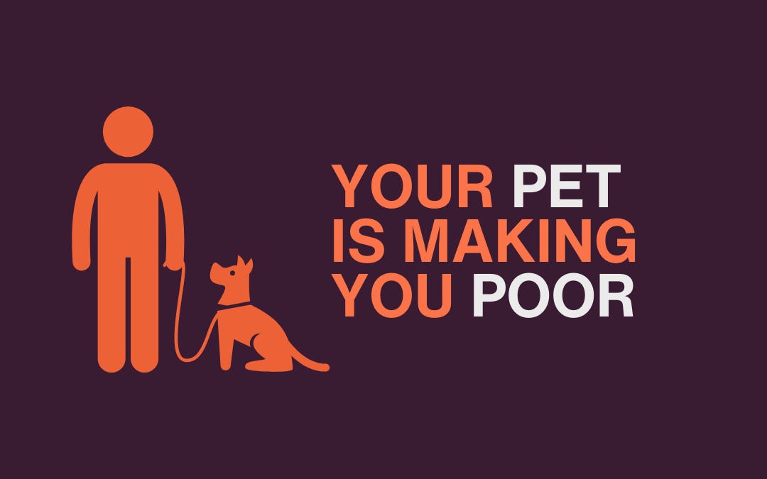 Your Pet Is Making You Poor