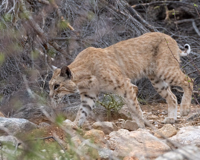 20250702-mby-5-Edit.jpg 20250702-mby-5-Edit.jpg