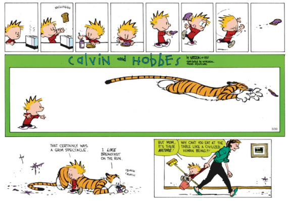 Calvin and hobbes food on the run