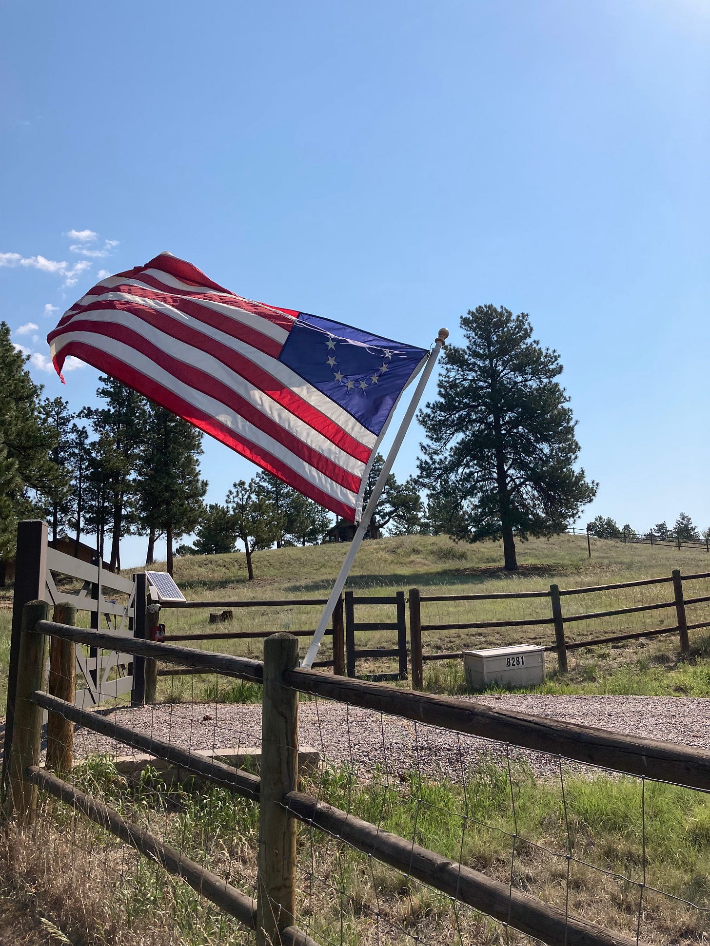 American Flag, 2026-07-04