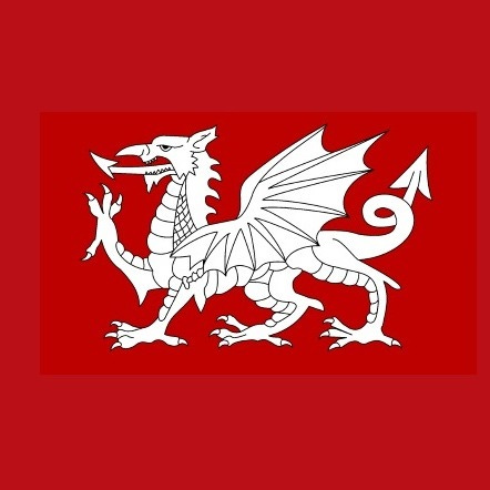 WhiteDragon3