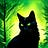 User's avatar