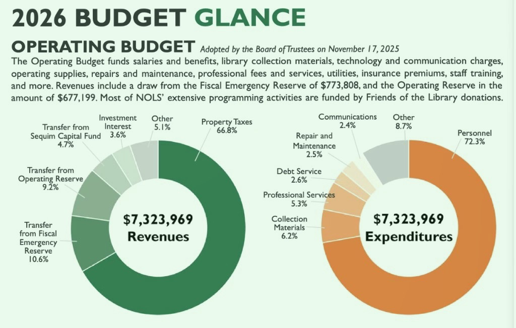 The $3 Million Question: Library Priorities on the Ballot