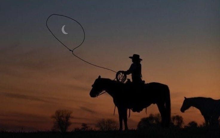 This may contain: a man riding on the back of a horse with a lasso in his hand
